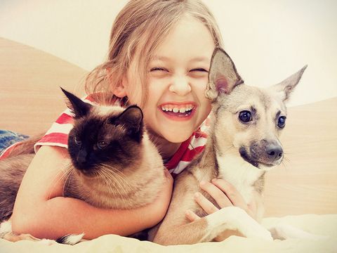 pe-boards-timber-support-nspca